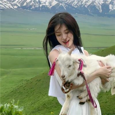 工程师普赖特的方案